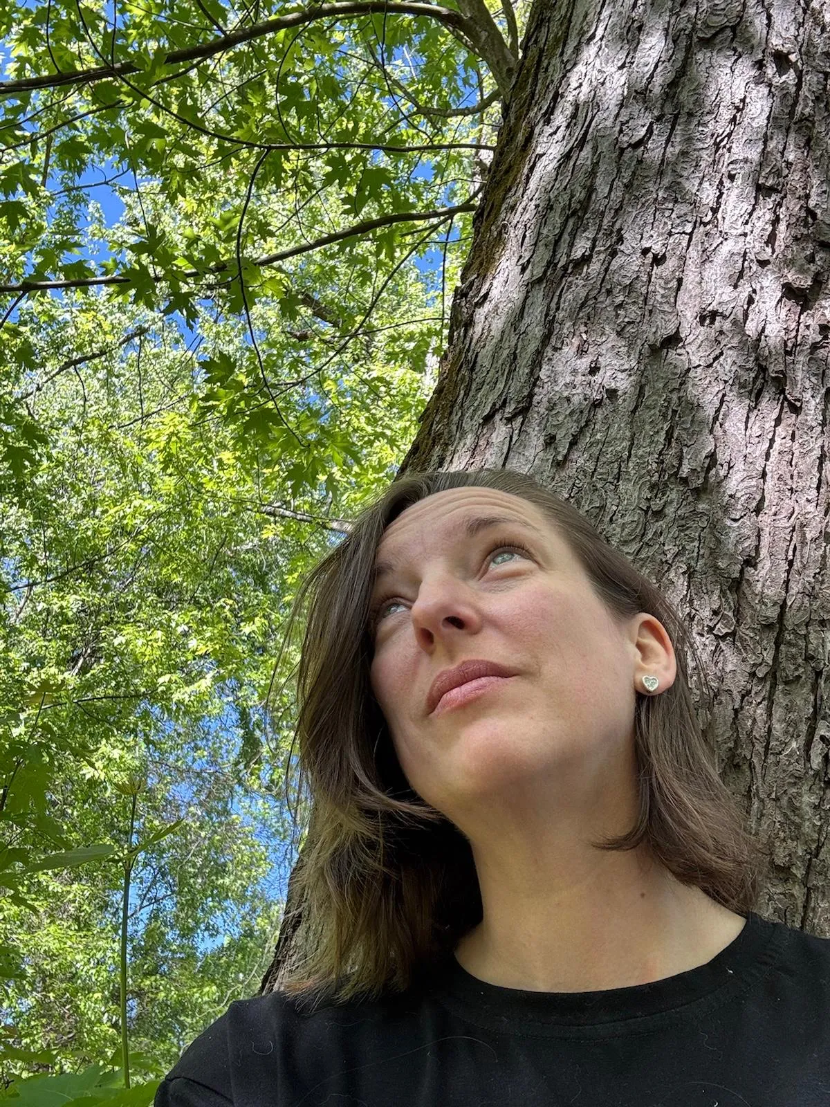 Jessica gazing up into the sunlit canopy of a maple tree